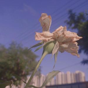 黄色性交叫床视频
